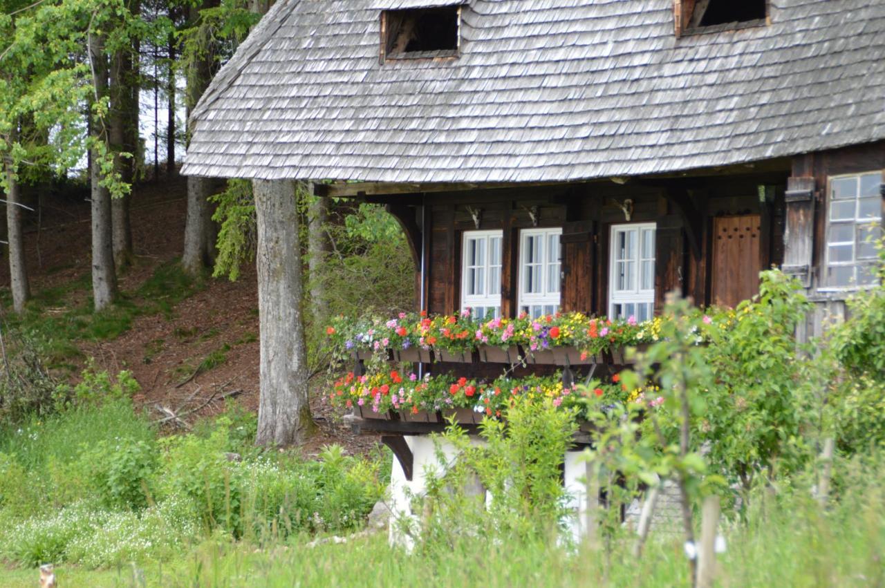 Ferienwohnung Baeuerle Schönwalde Екстериор снимка
